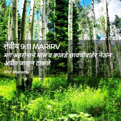 Picture 02 - लेवीय 9:11 MARIRV - मग अहरोनाने मांस व - Bible Verse Picture