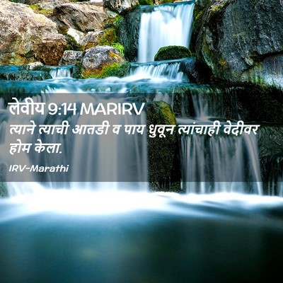 Picture 02 - लेवीय 9:14 MARIRV - त्याने त्याची - Bible Verse Picture