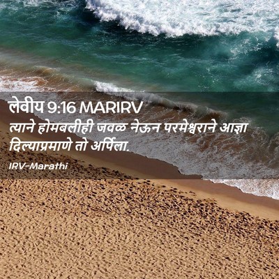 Picture 02 - लेवीय 9:16 MARIRV - त्याने होमबलीही - Bible Verse Picture