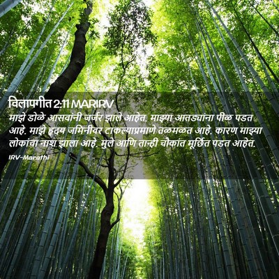 Picture 02 - विलापगीत 2:11 MARIRV - माझे डोळे आसवांनी - Bible Verse Picture