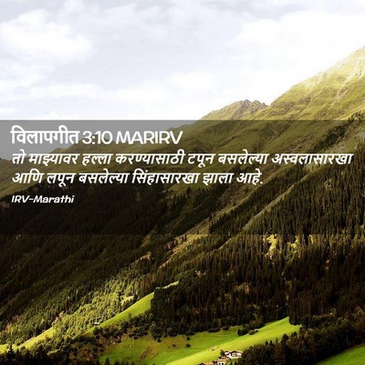 Picture 02 - विलापगीत 3:10 MARIRV - तो माझ्यावर हल्ला - Bible Verse Picture