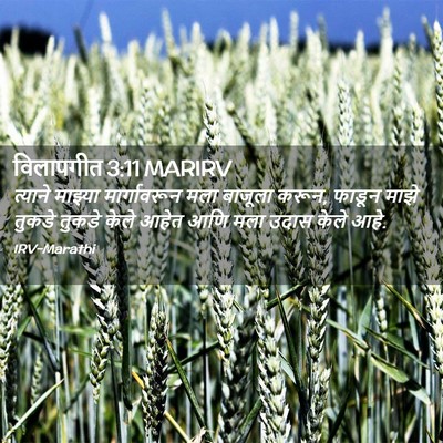 Picture 02 - विलापगीत 3:11 MARIRV - त्याने माझ्या - Bible Verse Picture