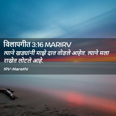 Picture 02 - विलापगीत 3:16 MARIRV - त्याने खड्यांनी - Bible Verse Picture