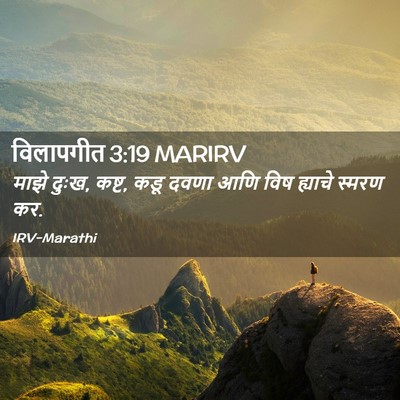 Picture 02 - विलापगीत 3:19 MARIRV - माझे दुःख, कष्ट, - Bible Verse Picture