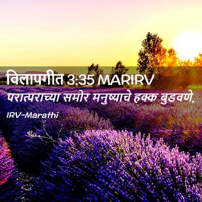 Picture 02 - विलापगीत 3:35 MARIRV - परात्पराच्या समोर - Bible Verse Picture