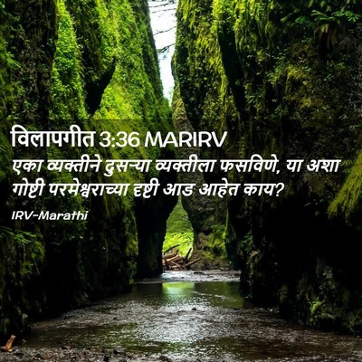 Picture 02 - विलापगीत 3:36 MARIRV - एका व्यक्तीने - Bible Verse Picture