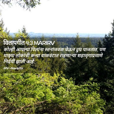 Picture 02 - विलापगीत 4:3 MARIRV - कोल्ही आपल्या - Bible Verse Picture