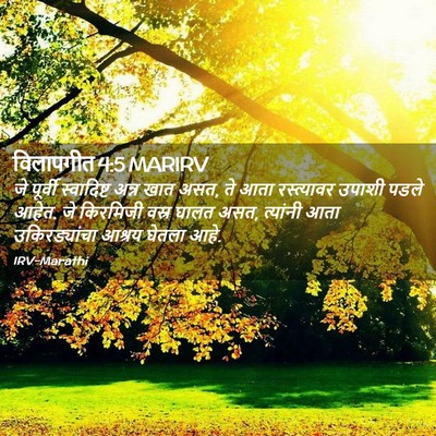 Picture 02 - विलापगीत 4:5 MARIRV - जे पूर्वी - Bible Verse Picture