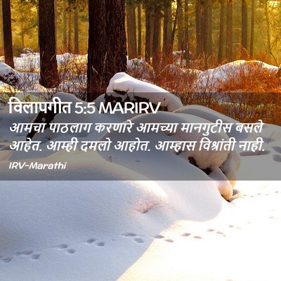 Picture 02 - विलापगीत 5:5 MARIRV - आमचा पाठलाग - Bible Verse Picture