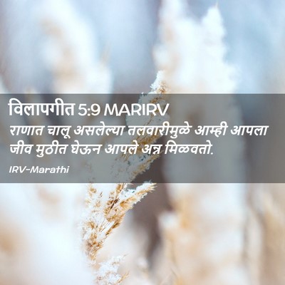 Picture 02 - विलापगीत 5:9 MARIRV - राणात चालू - Bible Verse Picture