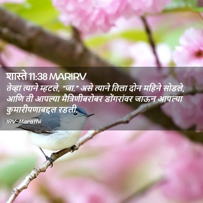 Picture 02 - शास्ते 11:38 MARIRV - तेव्हा त्याने - Bible Verse Picture