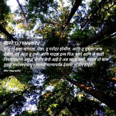 Picture 02 - शास्ते 13:7 MARIRV - परंतु तो मला - Bible Verse Picture