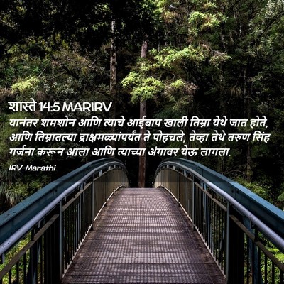 Picture 02 - शास्ते 14:5 MARIRV - यानंतर शमशोन आणि - Bible Verse Picture