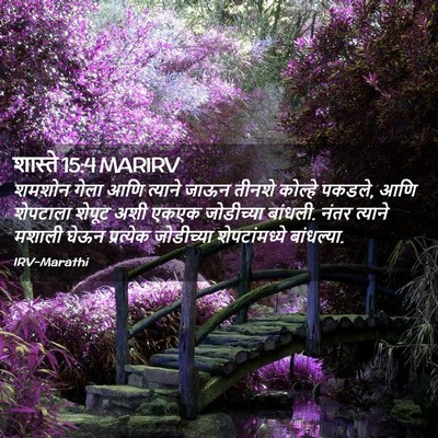Picture 02 - शास्ते 15:4 MARIRV - शमशोन गेला आणि - Bible Verse Picture