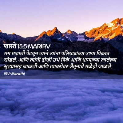 Picture 02 - शास्ते 15:5 MARIRV - मग मशाली पेटवून - Bible Verse Picture