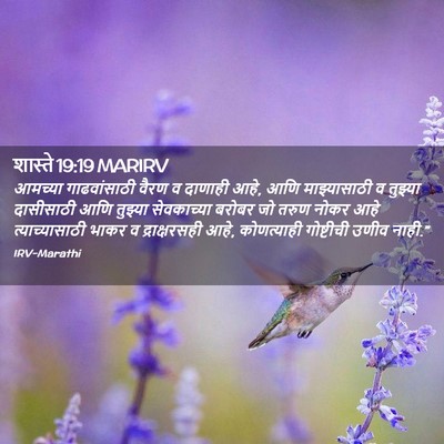 Picture 02 - शास्ते 19:19 MARIRV - आमच्या गाढवांसाठी - Bible Verse Picture
