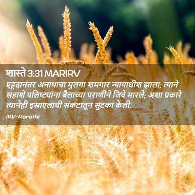 Picture 02 - शास्ते 3:31 MARIRV - एहूदानंतर अनाथाचा - Bible Verse Picture