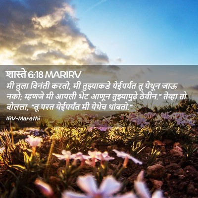Picture 02 - शास्ते 6:18 MARIRV - मी तुला विनंती - Bible Verse Picture