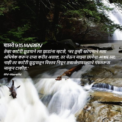 Picture 02 - शास्ते 9:15 MARIRV - तेव्हा काटेरी - Bible Verse Picture