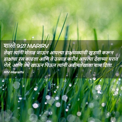 Picture 02 - शास्ते 9:27 MARIRV - तेव्हा त्यांनी - Bible Verse Picture
