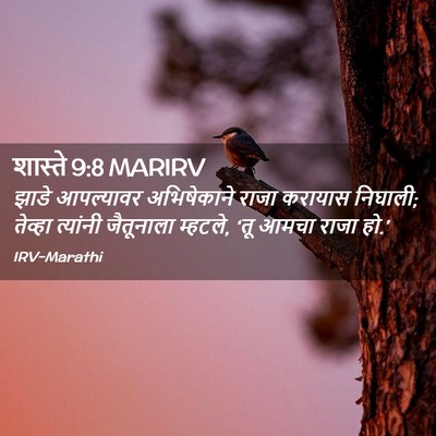 Picture 02 - शास्ते 9:8 MARIRV - झाडे आपल्यावर - Bible Verse Picture