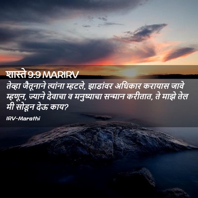 Picture 02 - शास्ते 9:9 MARIRV - तेव्हा जैतूनाने - Bible Verse Picture