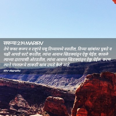 Picture 02 - सफन्या 2:14 MARIRV - तेथे फक्त कळप व - Bible Verse Picture