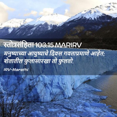 Picture 02 - स्तोत्रसंहिता 103:15 MARIRV - मनुष्याच्या - Bible Verse Picture