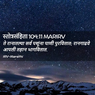 Picture 02 - स्तोत्रसंहिता 104:11 MARIRV - ते रानातल्या सर्व - Bible Verse Picture