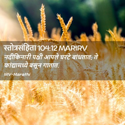 Picture 02 - स्तोत्रसंहिता 104:12 MARIRV - नदीकिनारी पक्षी - Bible Verse Picture