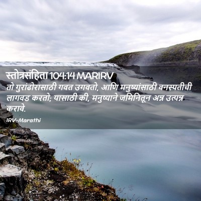 Picture 02 - स्तोत्रसंहिता 104:14 MARIRV - तो गुरांढोरासाठी - Bible Verse Picture