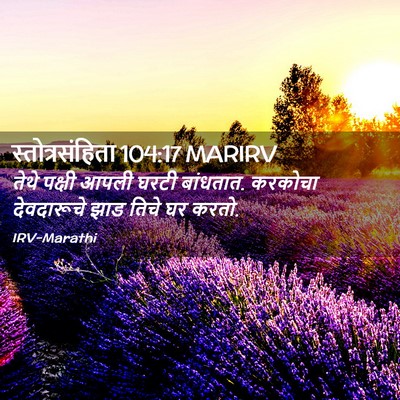 Picture 02 - स्तोत्रसंहिता 104:17 MARIRV - तेथे पक्षी आपली - Bible Verse Picture