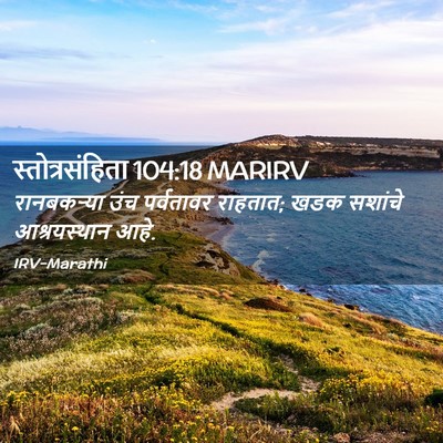 Picture 02 - स्तोत्रसंहिता 104:18 MARIRV - रानबकऱ्या उंच - Bible Verse Picture
