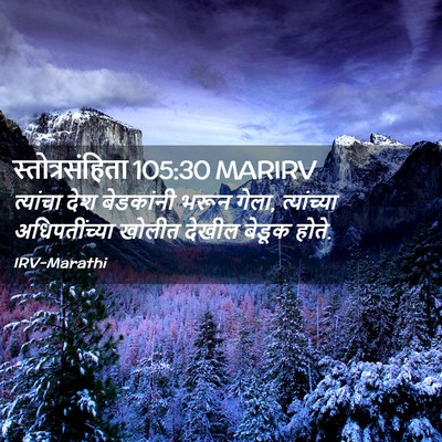 Picture 02 - स्तोत्रसंहिता 105:30 MARIRV - त्यांचा देश - Bible Verse Picture