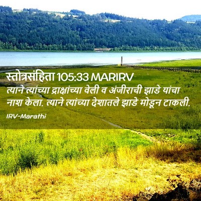 Picture 02 - स्तोत्रसंहिता 105:33 MARIRV - त्याने त्यांच्या - Bible Verse Picture
