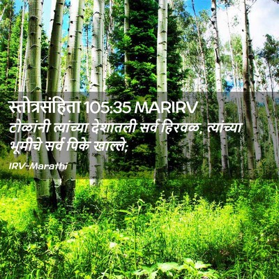 Picture 02 - स्तोत्रसंहिता 105:35 MARIRV - टोळांनी त्यांच्या - Bible Verse Picture