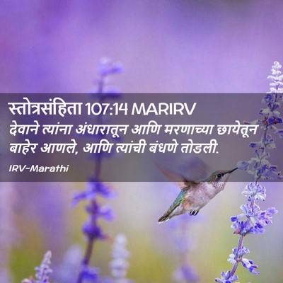 Picture 02 - स्तोत्रसंहिता 107:14 MARIRV - देवाने त्यांना - Bible Verse Picture