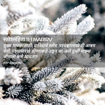 Picture 02 - स्तोत्रसंहिता 11:1 MARIRV - मुख्य गायकासाठी; - Bible Verse Picture