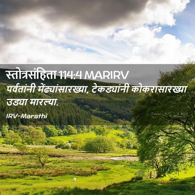 Picture 02 - स्तोत्रसंहिता 114:4 MARIRV - पर्वतांनी - Bible Verse Picture