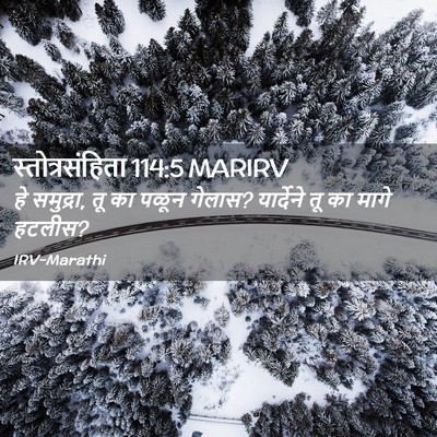 Picture 02 - स्तोत्रसंहिता 114:5 MARIRV - हे समुद्रा, तू का - Bible Verse Picture