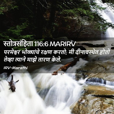 Picture 02 - स्तोत्रसंहिता 116:6 MARIRV - परमेश्वर - Bible Verse Picture