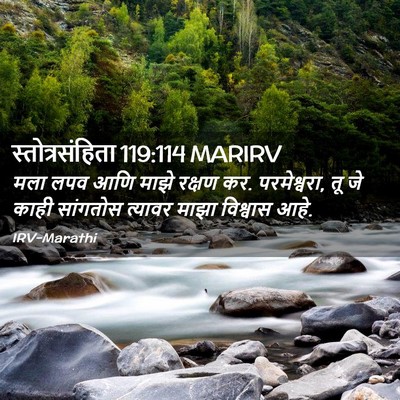 Picture 02 - स्तोत्रसंहिता 119:114 MARIRV - मला लपव आणि माझे - Bible Verse Picture