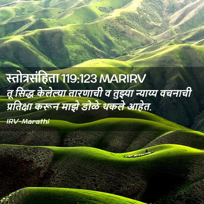 Picture 02 - स्तोत्रसंहिता 119:123 MARIRV - तू सिद्ध केलेल्या - Bible Verse Picture