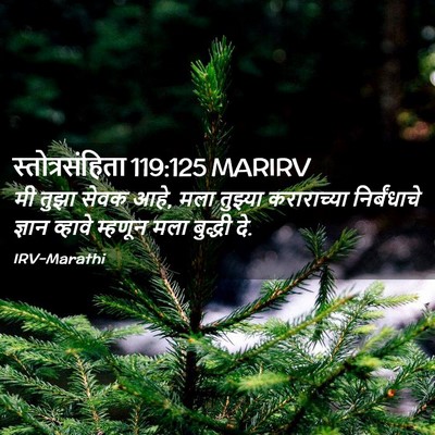 Picture 02 - स्तोत्रसंहिता 119:125 MARIRV - मी तुझा सेवक आहे, - Bible Verse Picture