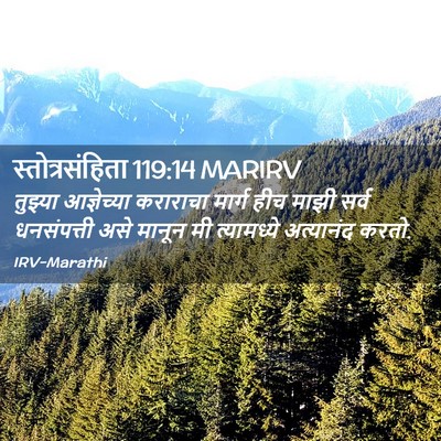 Picture 02 - स्तोत्रसंहिता 119:14 MARIRV - तुझ्या आज्ञेच्या - Bible Verse Picture