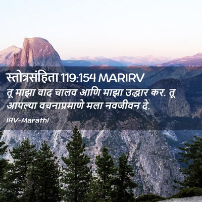 Picture 02 - स्तोत्रसंहिता 119:154 MARIRV - तू माझा वाद चालव - Bible Verse Picture