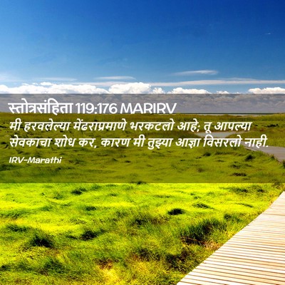 Picture 02 - स्तोत्रसंहिता 119:176 MARIRV - मी हरवलेल्या - Bible Verse Picture