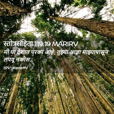 Picture 02 - स्तोत्रसंहिता 119:19 MARIRV - मी या देशात परका - Bible Verse Picture