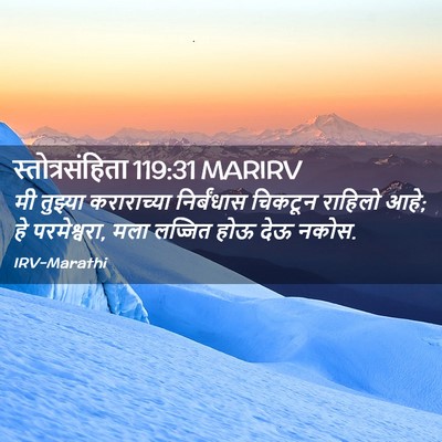 Picture 02 - स्तोत्रसंहिता 119:31 MARIRV - मी तुझ्या - Bible Verse Picture