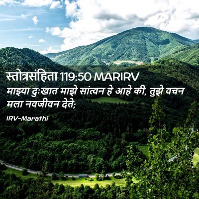Picture 02 - स्तोत्रसंहिता 119:50 MARIRV - माझ्या दुःखात - Bible Verse Picture